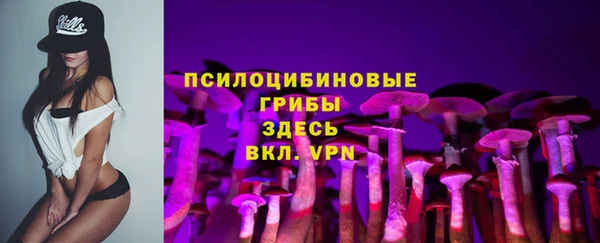 гидра Медногорск