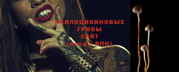 apvp Мегион