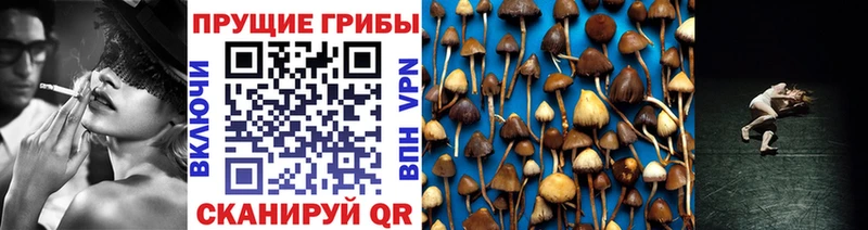 Псилоцибиновые грибы GOLDEN TEACHER  Яблоновский 